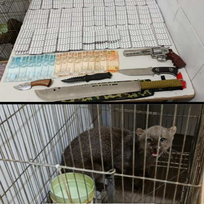 Homem é detido com “arrebites”, armas brancas e animal silvestre mantido em cativeiro em Juazeiro