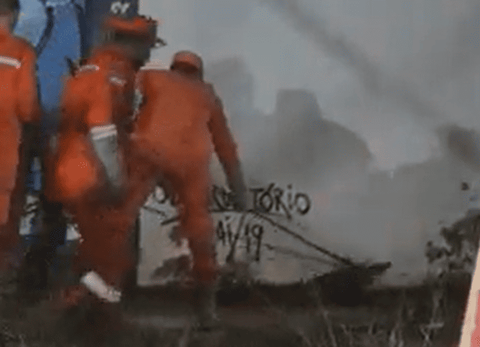 Jacaré é encontrado dentro de faculdade em Petrolina e mobiliza Corpo de Bombeiros