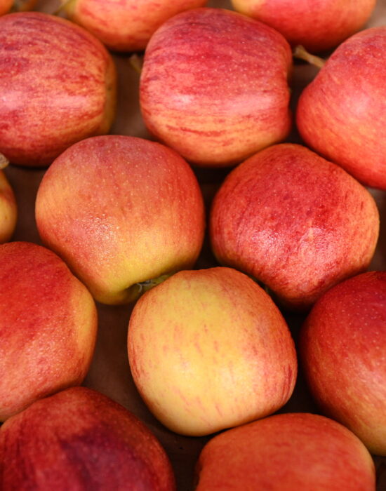 Autarquia Municipal de Abastecimento (AMA), divulgou nesta segunda-feira (27) a cotação atualizada dos hortifrutigranjeiros comercializados no Mercado do Produtor.