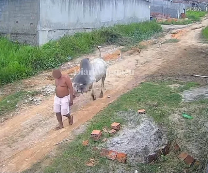 Homem fica ferido após ser atingido por chifrada de boi em Paudalho (PE)