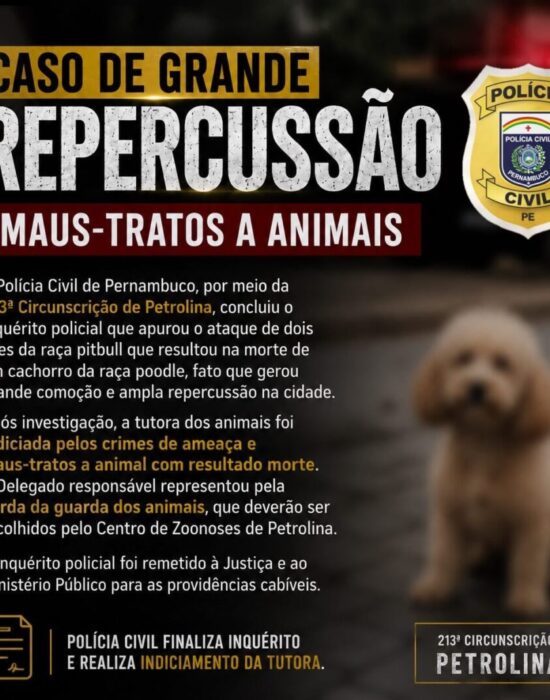 Delegado pede perda da guarda de pitbulls após ataque que matou poodle em Petrolina