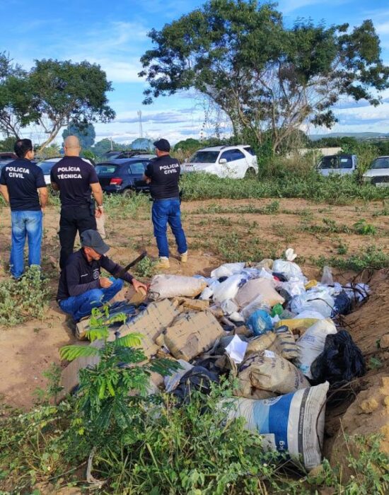 Polícia Civil incinera uma tonelada de drogas apreendidas na região de Senhor do Bonfim