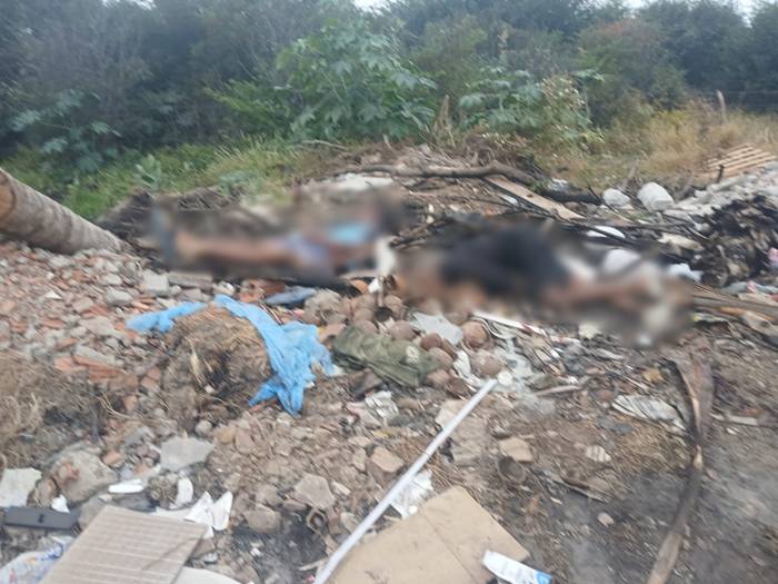 Corpos com sinais de violência são encontrados na Zona Rural de Petrolina
