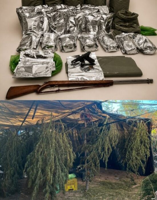 Casa Nova: Operação Força Total apreende armas de fogo e maconha