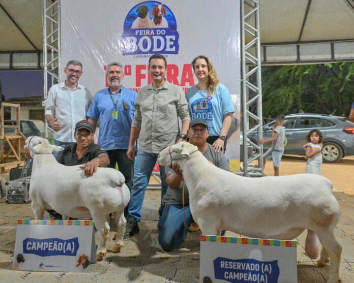 17ª Feira do Bode de Massaroca segue até este domingo (23) promovendo tradição, negócios e a valorização de quem vive do campo