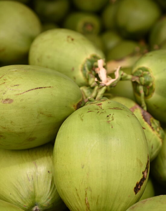 Super El Niño: Prefeitura de Juazeiro divulga cotação do Mercado do Produtor e destaca o coco na hidratação