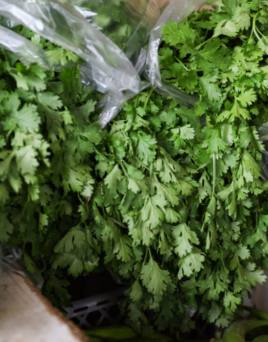 Prefeitura de Juazeiro divulga cotação dos hortifrutigranjeiros comercializados no Mercado do Produtor nesta segunda-feira (19)