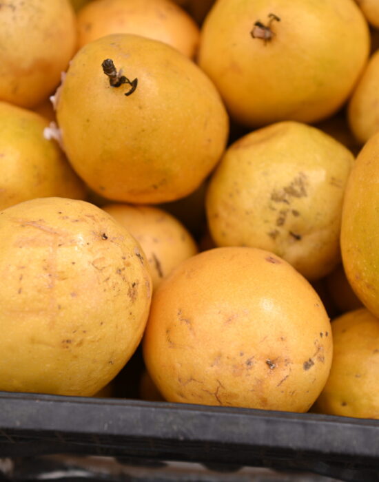 Prefeitura de Juazeiro divulga cotação dos hortifrutigranjeiros comercializados no Mercado do Produtor nesta terça-feira (13)
